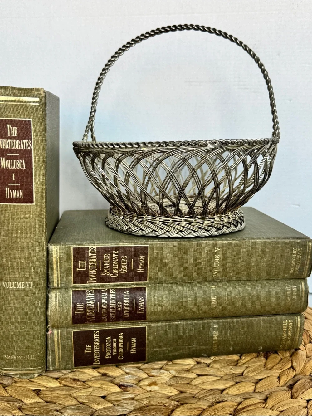 Vintage Silver Woven Wire Basket with Handle Decorative Home Accent